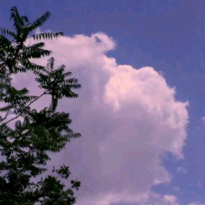 今日辟谣（2025年7月30日）