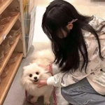尔雅畅游手机版下载